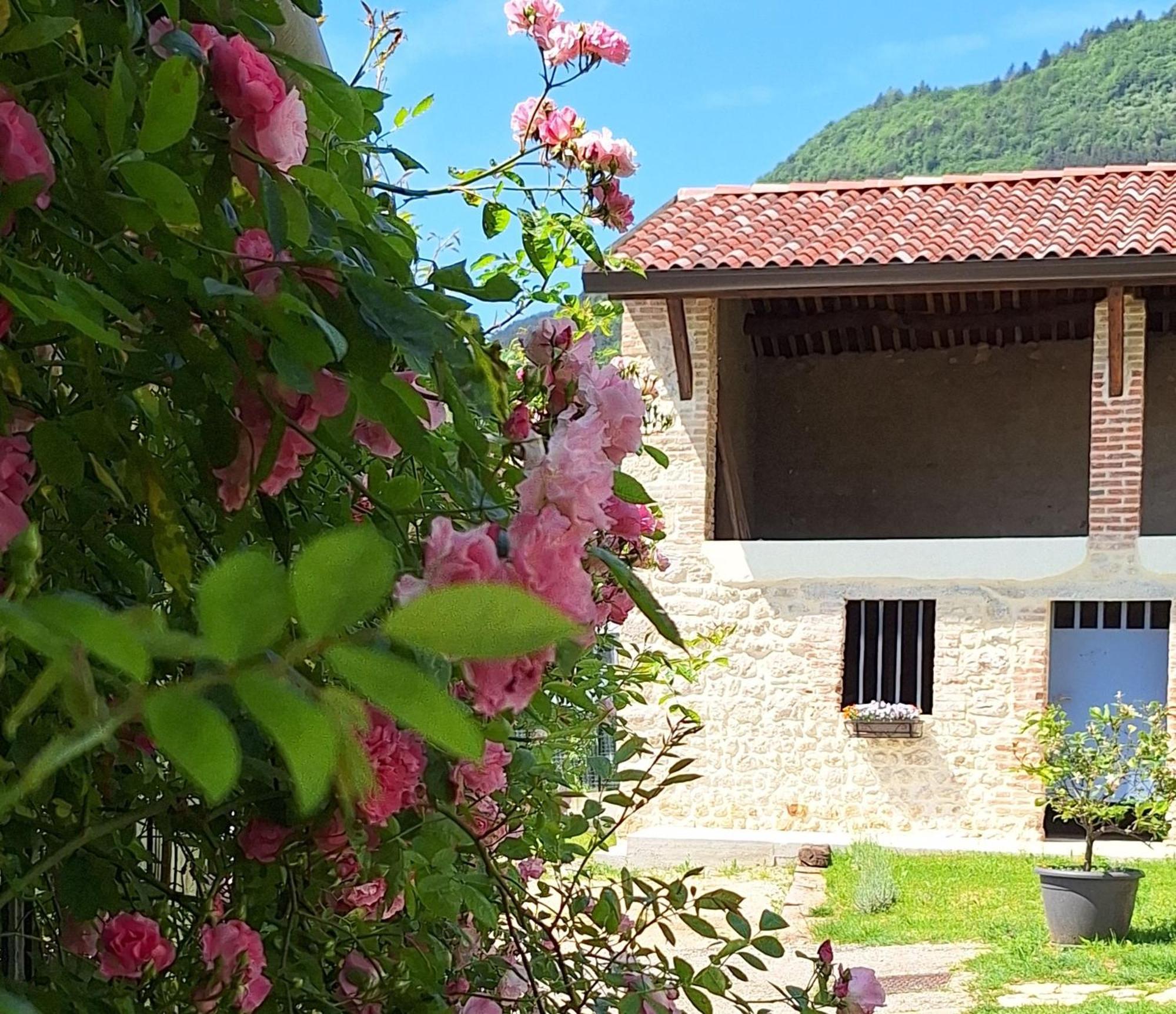 Casa Paola Appartement Borso del Grappa Buitenkant foto